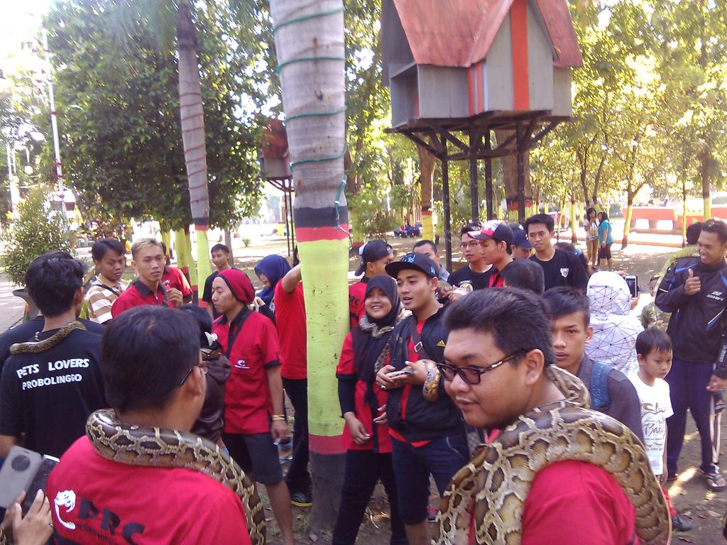 Gathering gabungan pecinta hewan Probolinggo-pasuruan tadi pagi