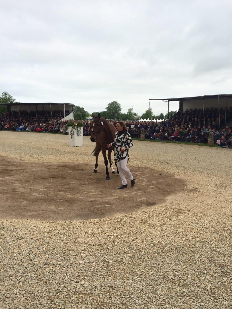 EventingWWNEWS's tweet photo. Pippa Funnell &amp; Second Supreme. They are accepted. Good luck Pippa. #MMBHT http://t.co/6Rtuqf44uc