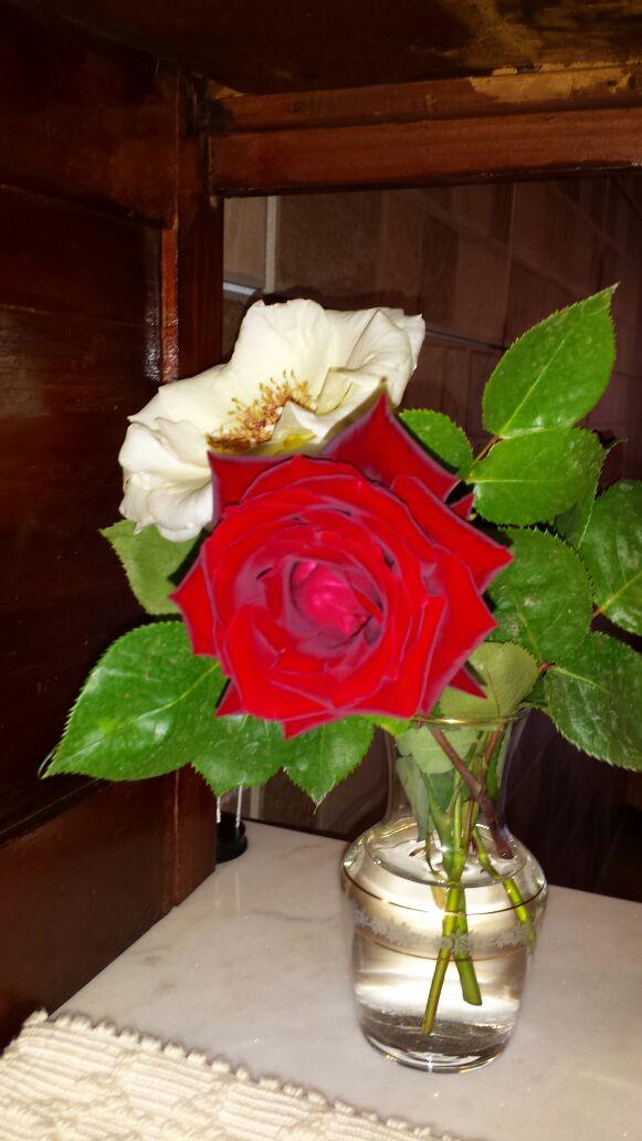 francescapes5's tweet image. Auguri MAMMAAAAAAAA