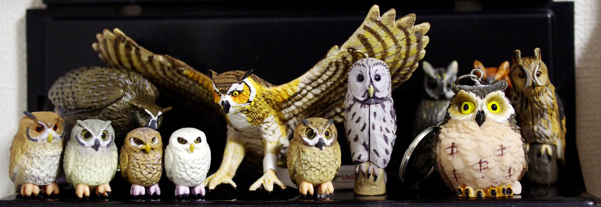 フクロウフィギュアコレクションの一部。一番大きいのがサファリ社、左