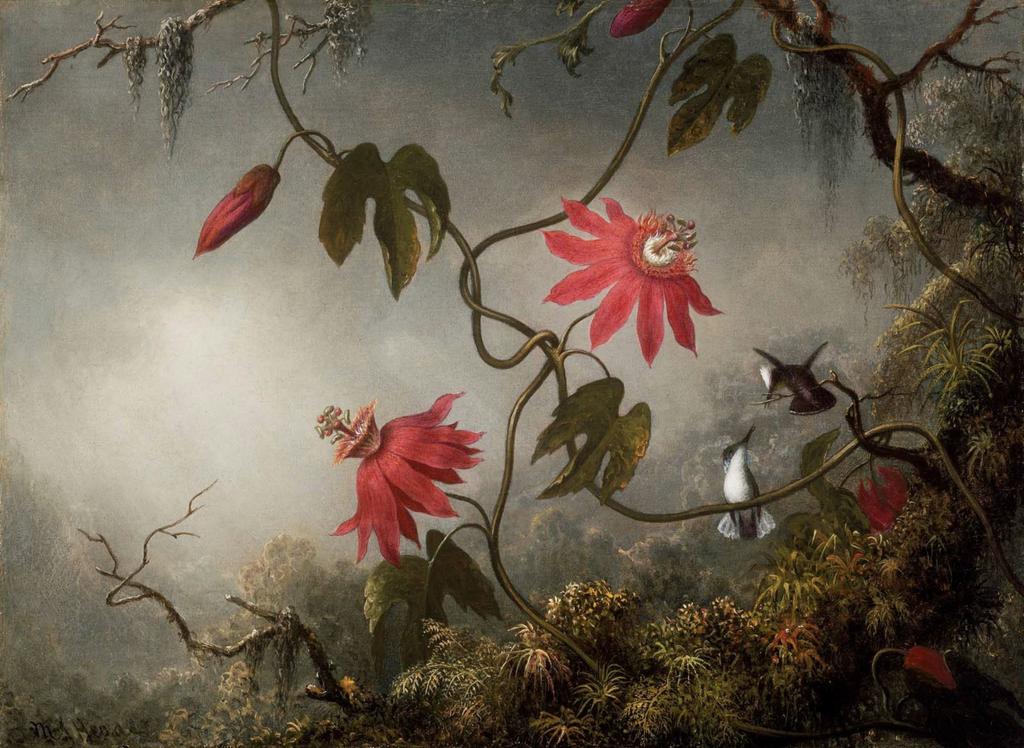 SaBe89's tweet photo. "Passion flowers with hummingbirds", M.J. Heade. #buongiorgio http://t.co/ku2PNo8zXE