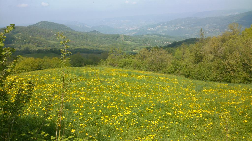 bodhirider's tweet photo. If you born here, you become a road criminal #OnTheRoad #neverstopriding #passopenice #valtidone #passobrallo http://t.co/40HNIxeBTA