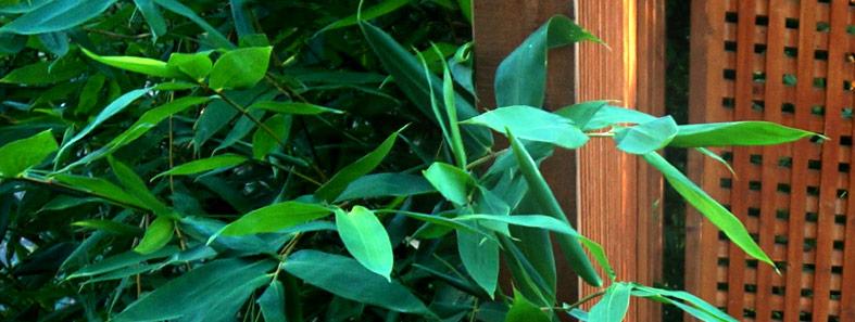 TopSnobs's tweet image. A Sustainable Stay for the Luxury Traveler: hubs.ly/y0LSG80 #luxtravel #topnotes