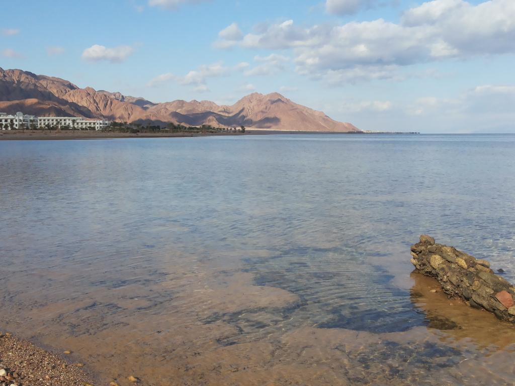 muhammedalahmr's tweet photo. #sinai #nuweiba 
#egypt #travel_safe
#bedouin_star #mahash
#mahash_beach #nature
#taba_road #keep_clean. http://t.co/ttx258FwrP
