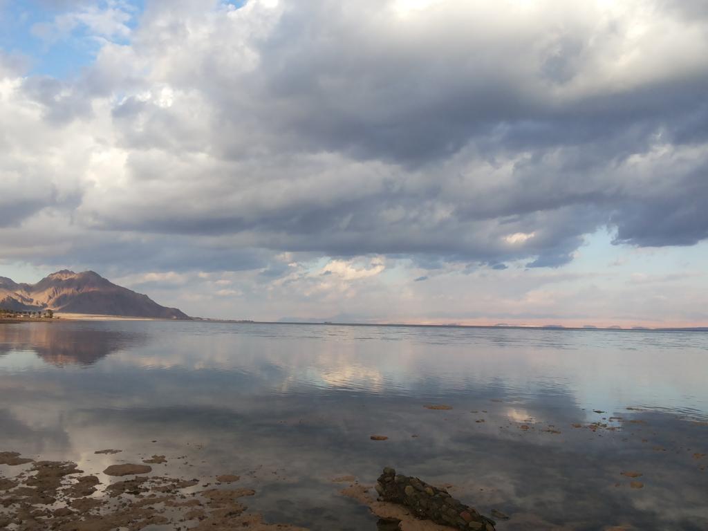 muhammedalahmr's tweet photo. #sinai #nuweiba 
#egypt #travel_safe
#bedouin_star #mahash
#mahash_beach #nature
#taba_road #keep_clean. http://t.co/ttx258FwrP