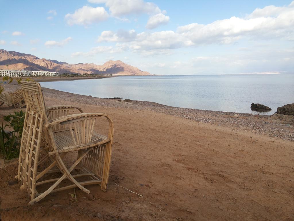 muhammedalahmr's tweet photo. #sinai #nuweiba 
#egypt #travel_safe
#bedouin_star #mahash
#mahash_beach #nature
#taba_road #keep_clean. http://t.co/ttx258FwrP