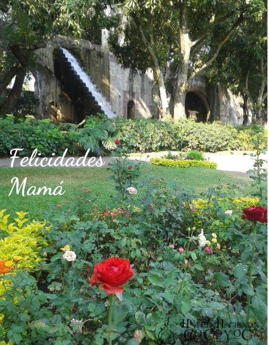 Hacienda Cocoyoc tweet media