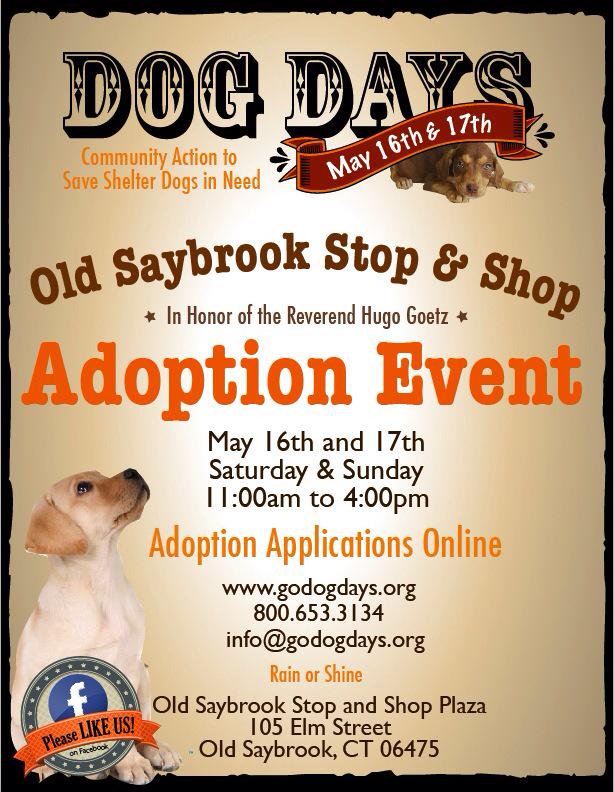 RedDogProjectCT's tweet image. Happy Mother's Day!! Love, our many PUPPIES!! Adopt them Saturday May 16-17 @oldsaybrook shopping center #MothersDay