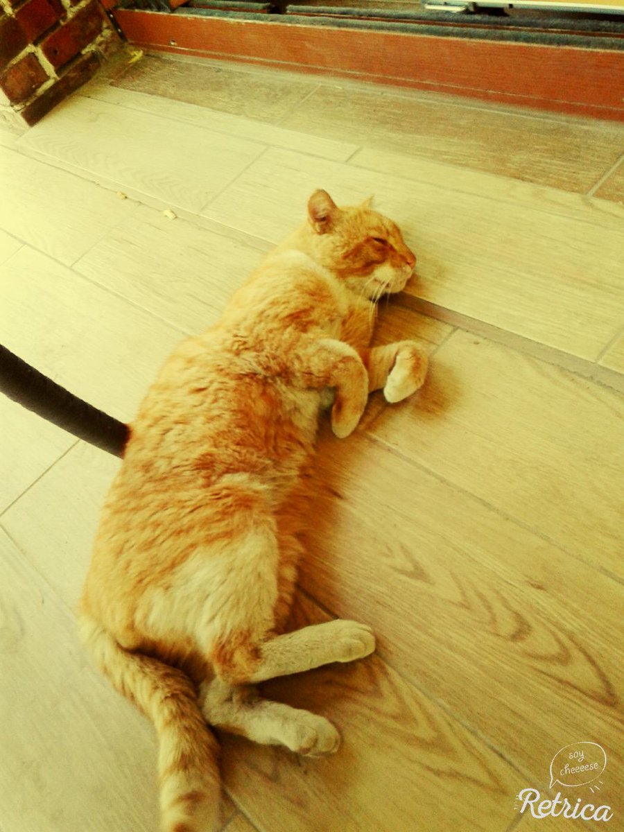 busra_yeni's tweet photo. 😇😁😂😃😄 http://t.co/dgB3aTYLPh