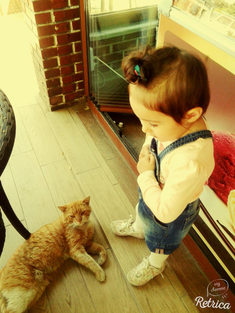 busra_yeni's tweet photo. 😼😺 http://t.co/diqiZ1VRhT