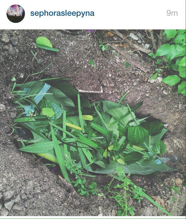 shasyaedora's tweet photo. Tuah, kucing yang kena potong kaki dan curah minyak panas tu dah mati 6.30pm tadi. thanks kepada yang doakan Tuah. http://t.co/ejnpRfVrCu
