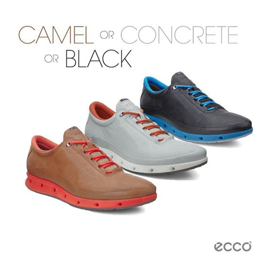 ECCOArabia tweet media