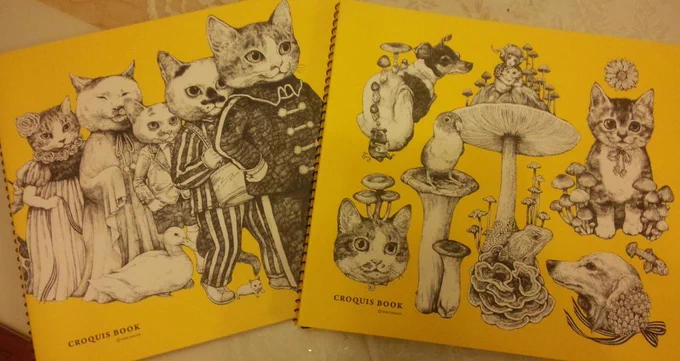 そして世界堂で可愛いクロッキー帳を買いました。イメージボード描きまくろうと思います🙋 