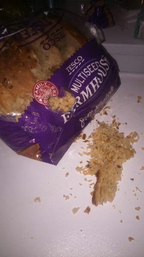 RoryMacP's tweet photo. Stuart little attacked @iain_craig bread last night in the flat #itswar #mouseprobs http://t.co/pesZXMte6K