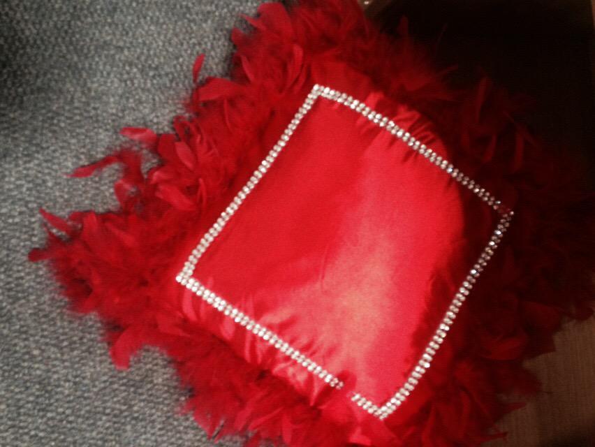 HayleySattler's tweet photo. @EmRusciano i saw this feather red sequinned outline cushion and immediate thought it would look good in your house! http://t.co/NdLiECaREp
