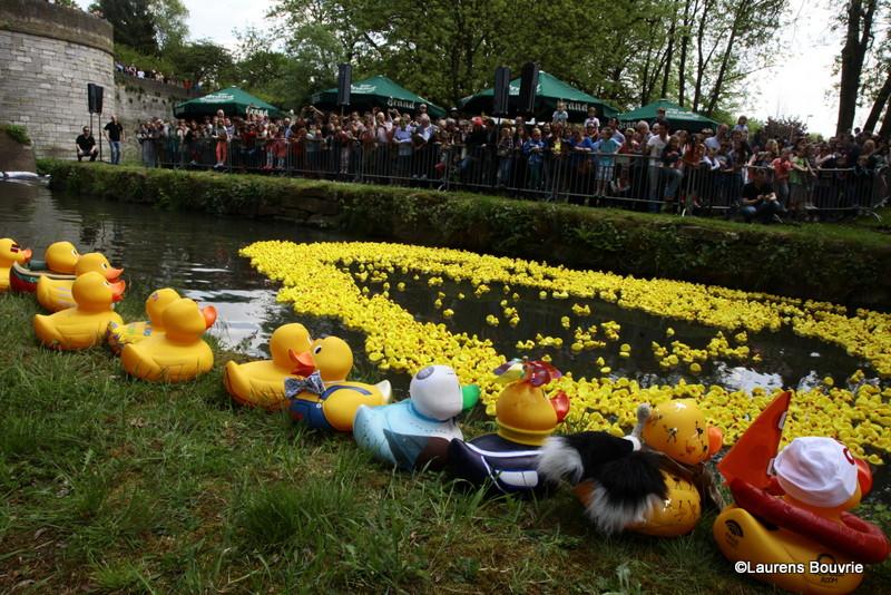 viamaastricht's tweet photo. #duckrace #rt174 #maastricht van start 
http://t.co/AIL4FHLjsh http://t.co/EG3qp1fWDn