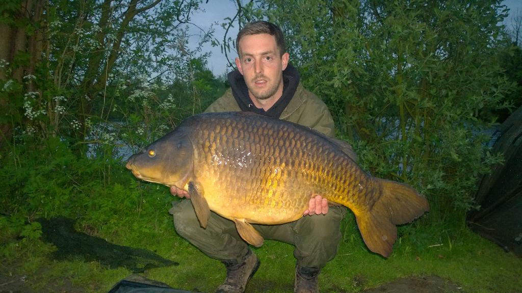 29_Buck's tweet photo. First one from the weekend at 38.8 @ccmoore_baits #chodbitez #livesystem @atomictackleuk #chodda #jelewyre http://t.co/sBdsGKhkSP