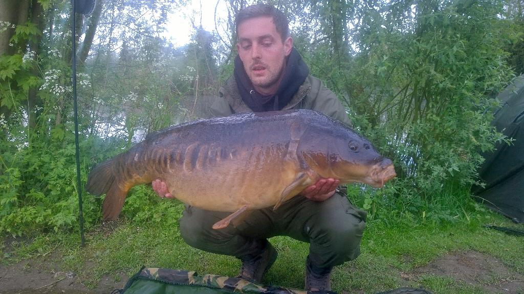 29_Buck's tweet photo. Second one from the weekend at 34lb @ccmoore_baits #chodbitez #livesystem #mooremeansmore @atomictackleuk #chodda http://t.co/een4AZOvAA