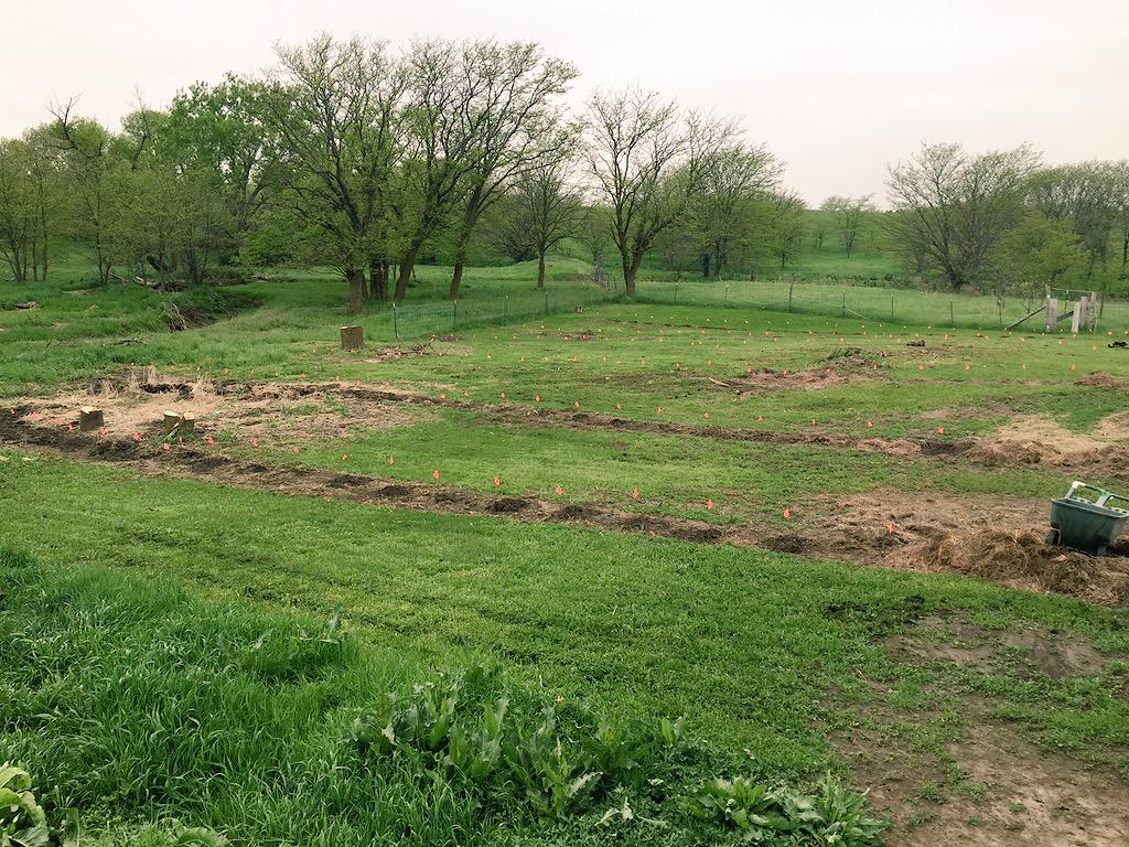 HomesteadHops's tweet photo. A little mowing and a little clean up.
#NebraskaHops http://t.co/UJede0t6Md