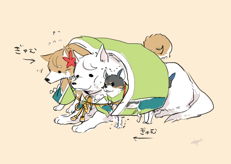 ボルゾイくゆ Cradle314 雲龍にうもれてお昼寝するチワワ葛城可愛いよぉ Twitter