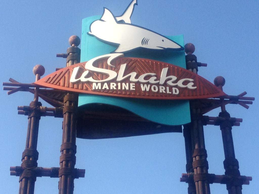 SATravelTrade's tweet photo. 2nd stop #TeamWhite: @uShakaMarine #MeetSouthAfrica challenge #INDABA15 http://t.co/kluyilkdyo