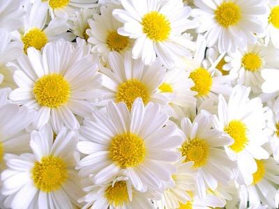 En değerlimiz annelerimizin bu güzel günü kutlu olsun 😊😊😊