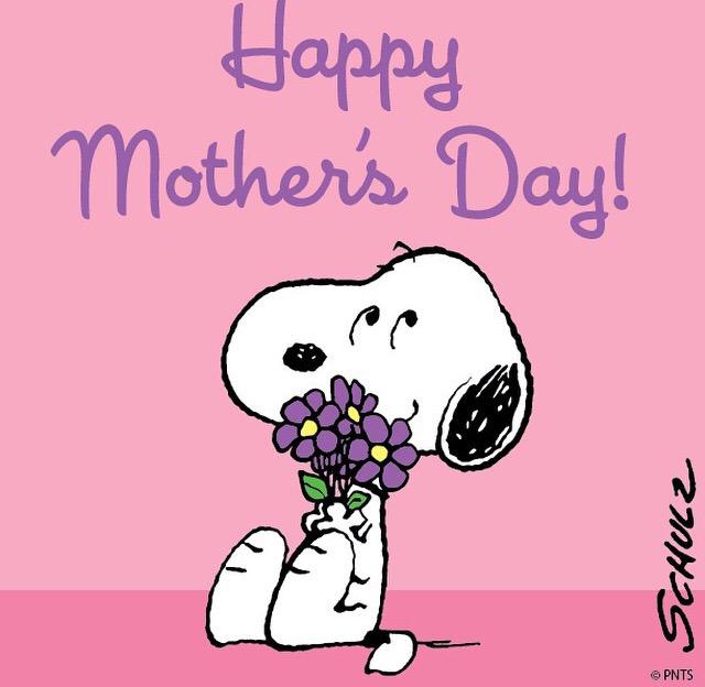 CalvinSmithPTA's tweet photo. #HappyMothersDay #ThankYou @GraniteSchools @TaylorsvilleHS @BennionJr http://t.co/lx8BbKLJ2d