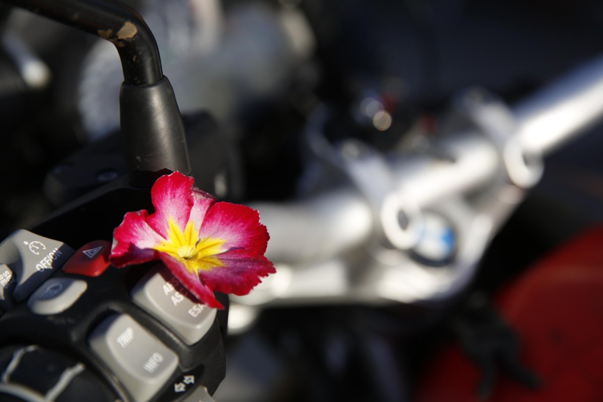 BMWMotorradUSA tweet picture
