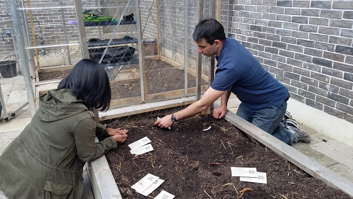 mtaruc's tweet photo. Fresh, homegrown food is the key to @homeorganicfarm's success. The tips&amp;tricks for a great gardening season at 11 am http://t.co/LJpTz8w584