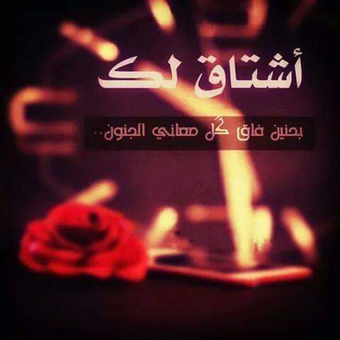 AlaaCyfo tweet picture