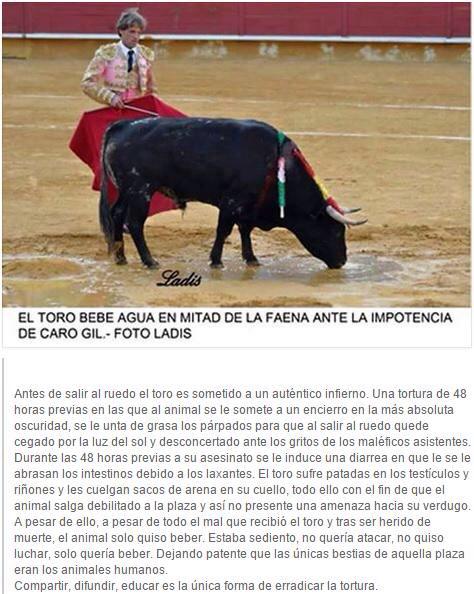 Capturas de WhatsApp (@whatsapcaptura_) on Twitter photo 