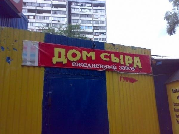 NikStarPro's tweet image. 