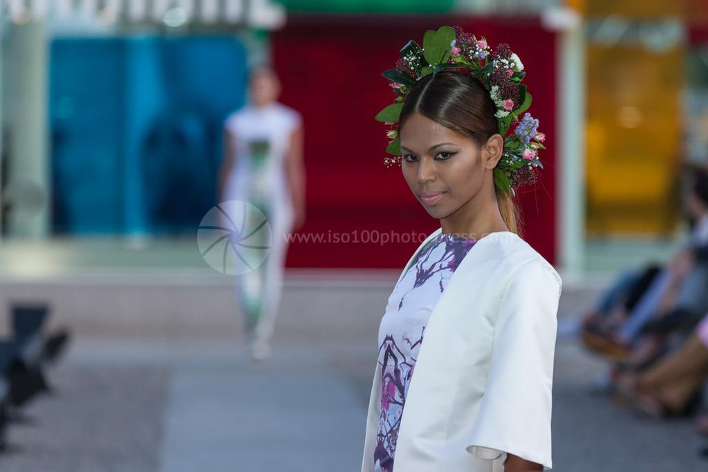iso100photpress tweet picture