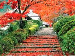 sandrakusmiran's tweet photo. http://t.co/ycSVscR3o5