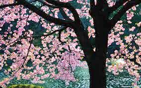 sandrakusmiran's tweet photo. http://t.co/hAz1a3QEng