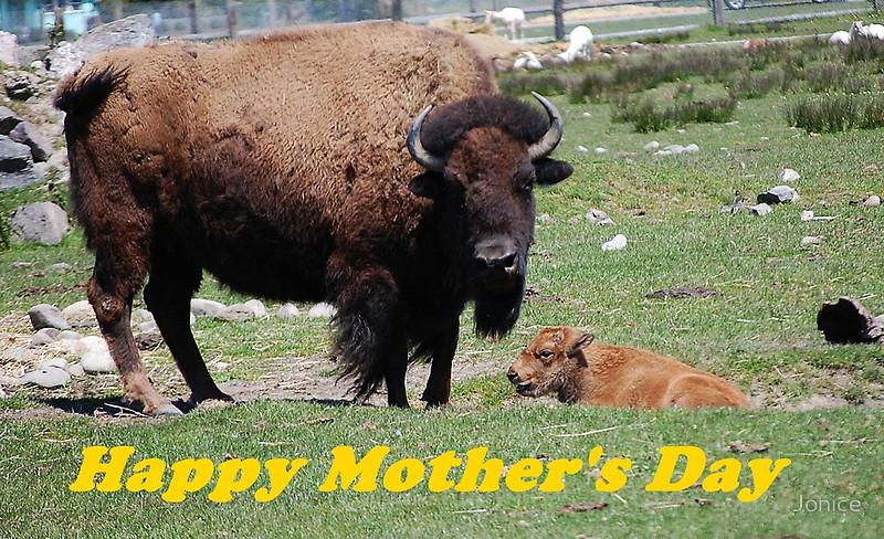 bisontailgating's tweet photo. #hailmom http://t.co/pSNcgsOhD2