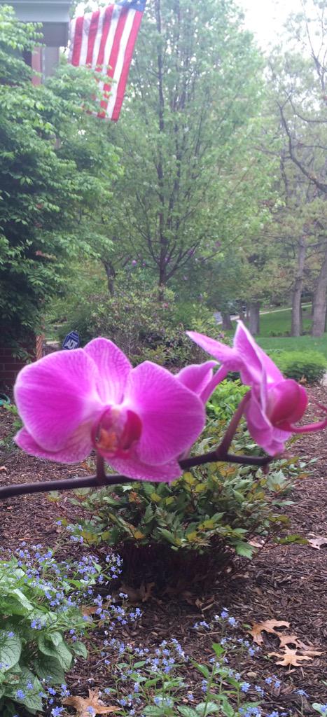 Happy Mother's Day, #Moms! You work tirelessly &amp; your impact on your family &amp; indeed on society is without measure.