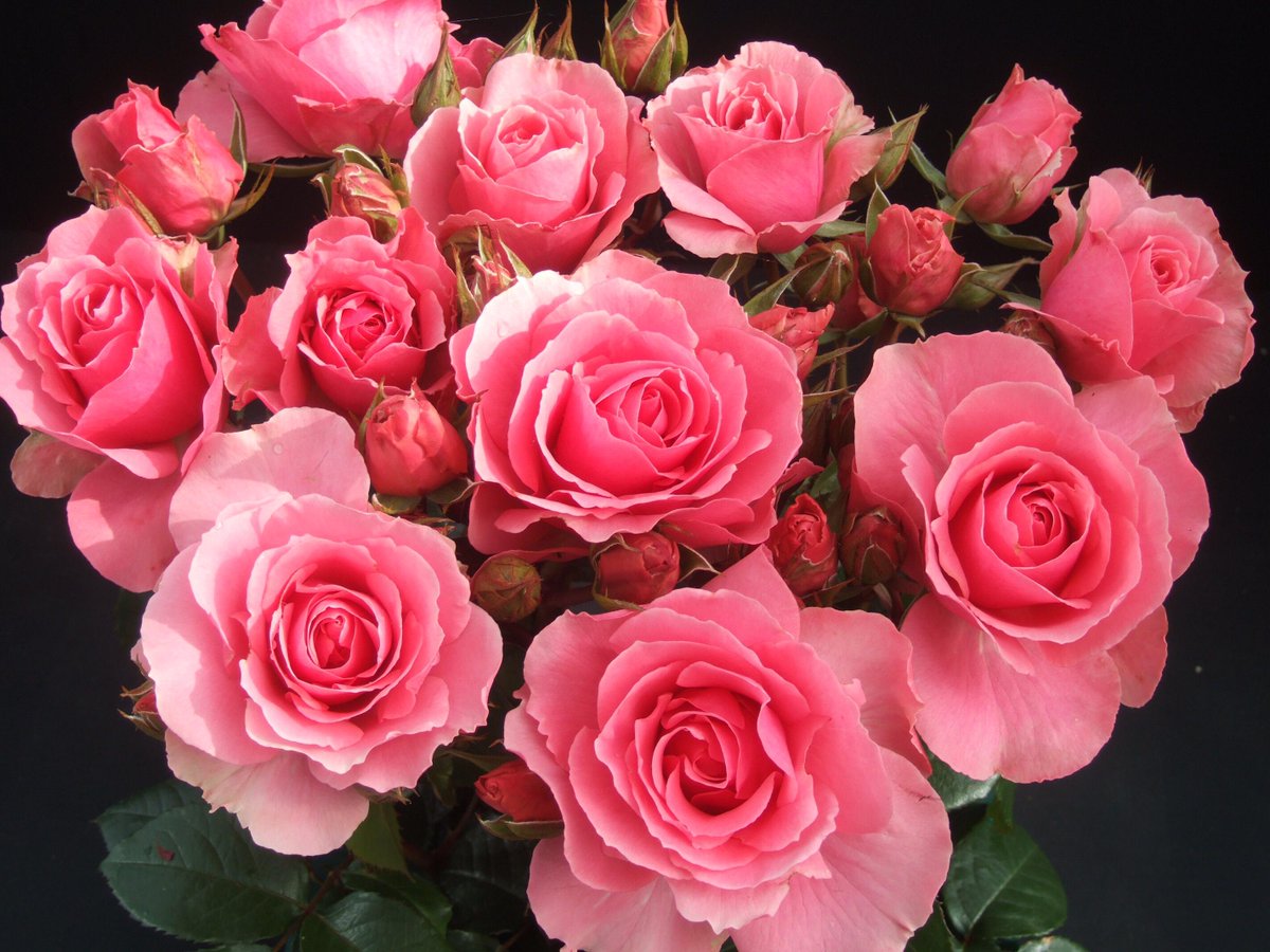 EmoryGoizueta's tweet photo. Happy Mothers' Day to all the moms out there! It's with your support we teach, learn and work to impact business! http://t.co/Gx44tFIiFZ