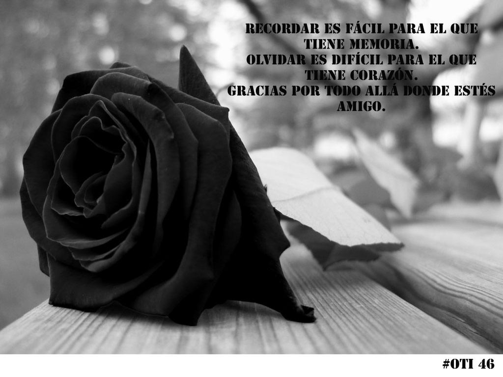 jose manuel tweet media