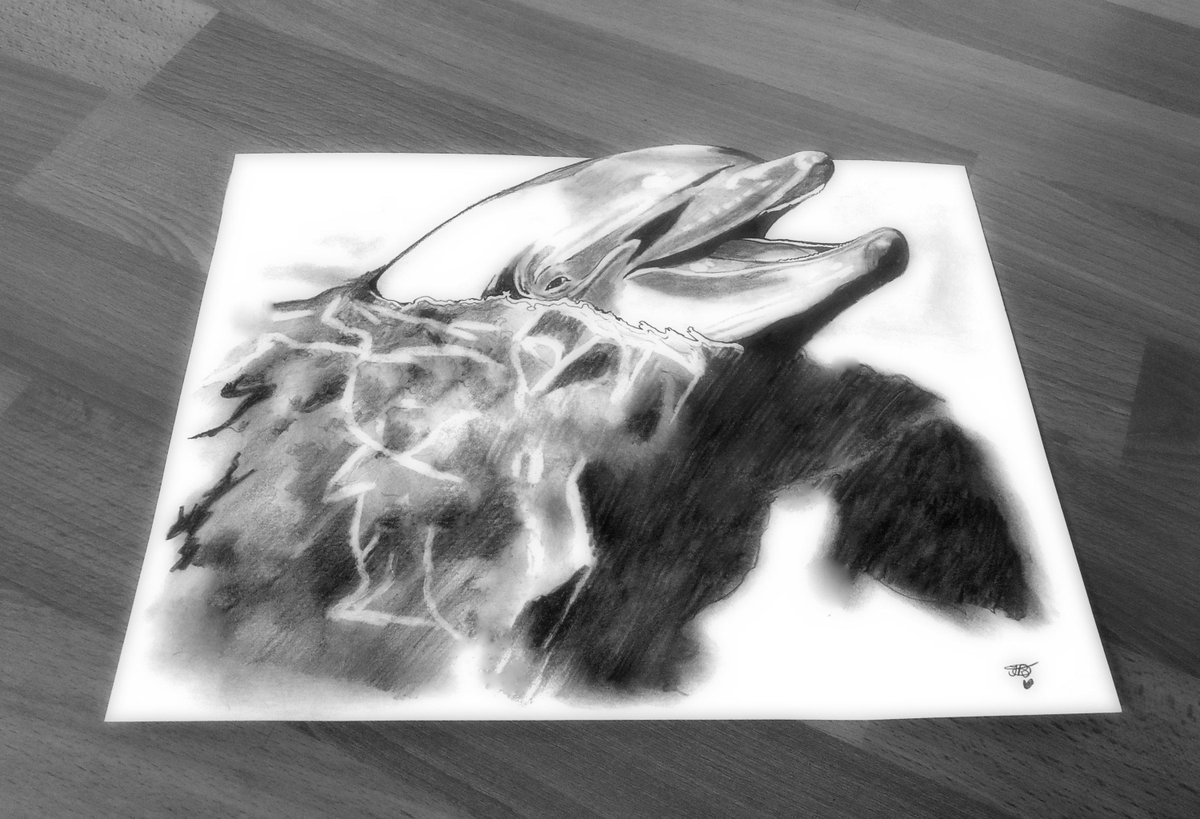 ilses_d's tweet photo. 3D Portrait: Dolphin
Approx. time: 12 hours
Drawn with 5 different pencils... http://t.co/PY67JynWmR
