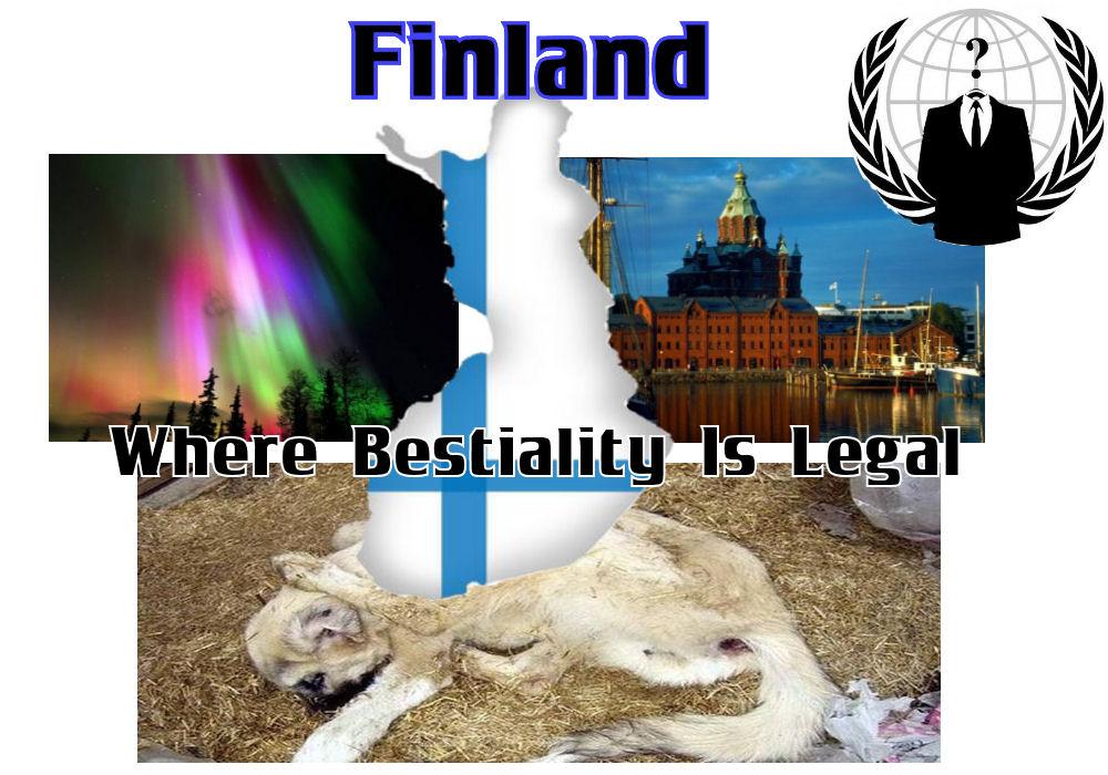Serial killers start with animal abuse #Finland ignore that fact at our own peril. 
Ban bestiality #OpBEAST