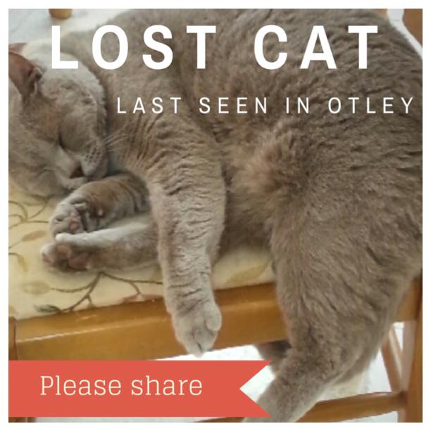 PLS RT Cloud accidentally transported by a Sainsburys delivery van somewhere between #Harrogate &amp; #otley.