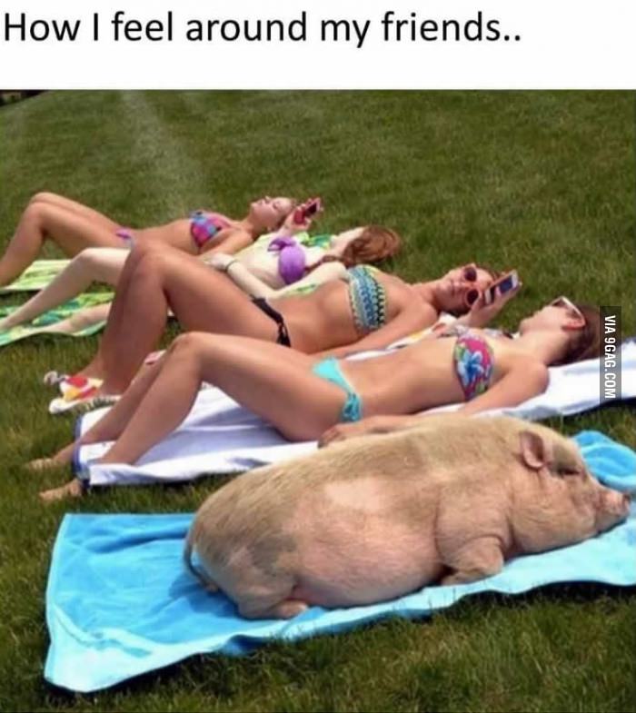 9GAG's tweet photo. Summer is coming http://t.co/fLEE6IH8t0 http://t.co/7yRGfeogp1