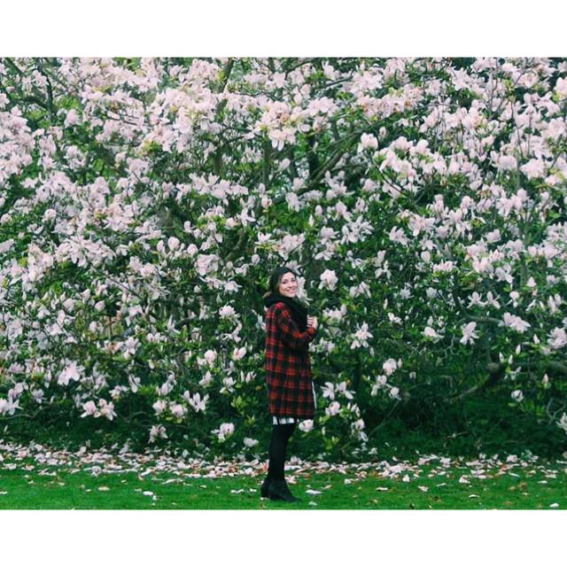 I miss my mom and I'm not going to see her and give her flowers today so I can't take a pi&hellip; http://t<a href="/tag/tuftsofmuff"class="tags"><span>#tuftsofmuff</span></a>