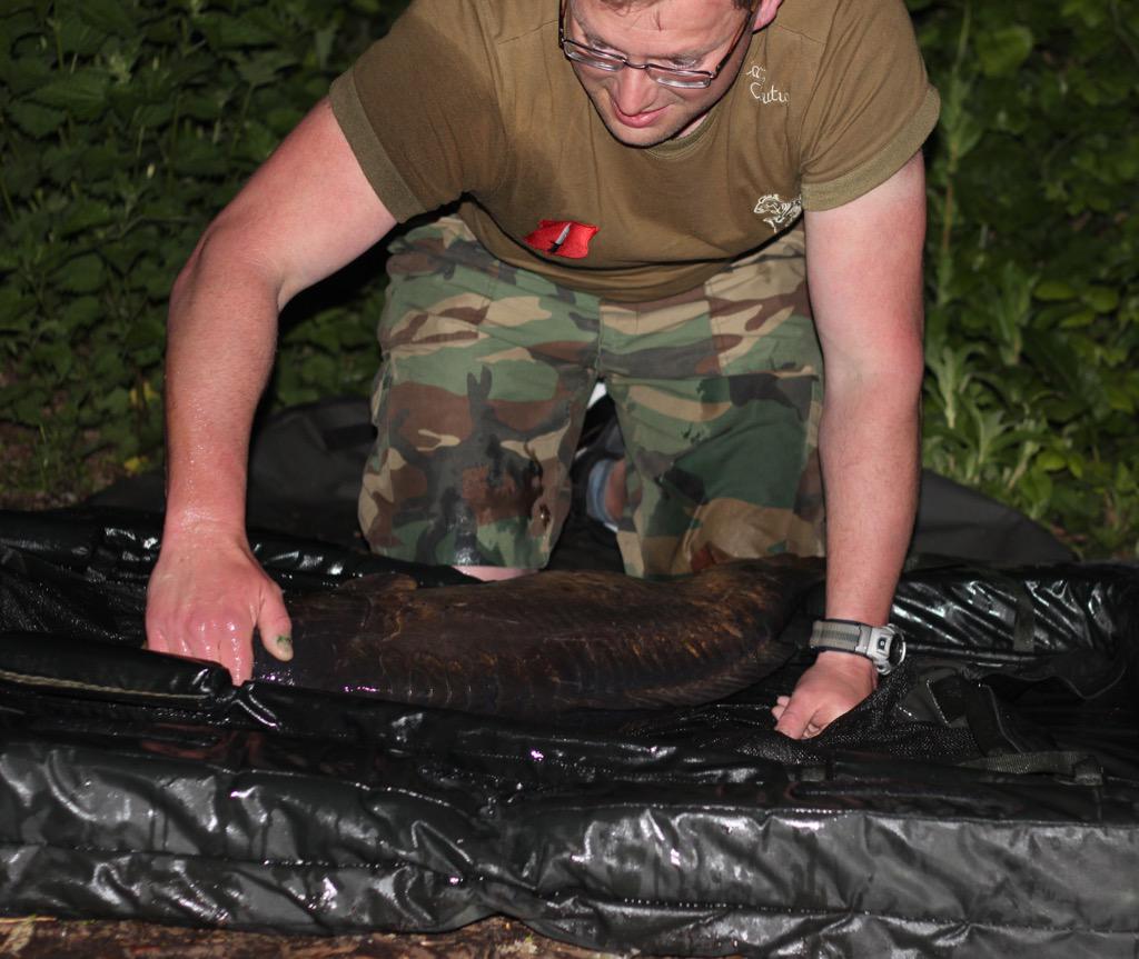 Infantrycarpers tweet media