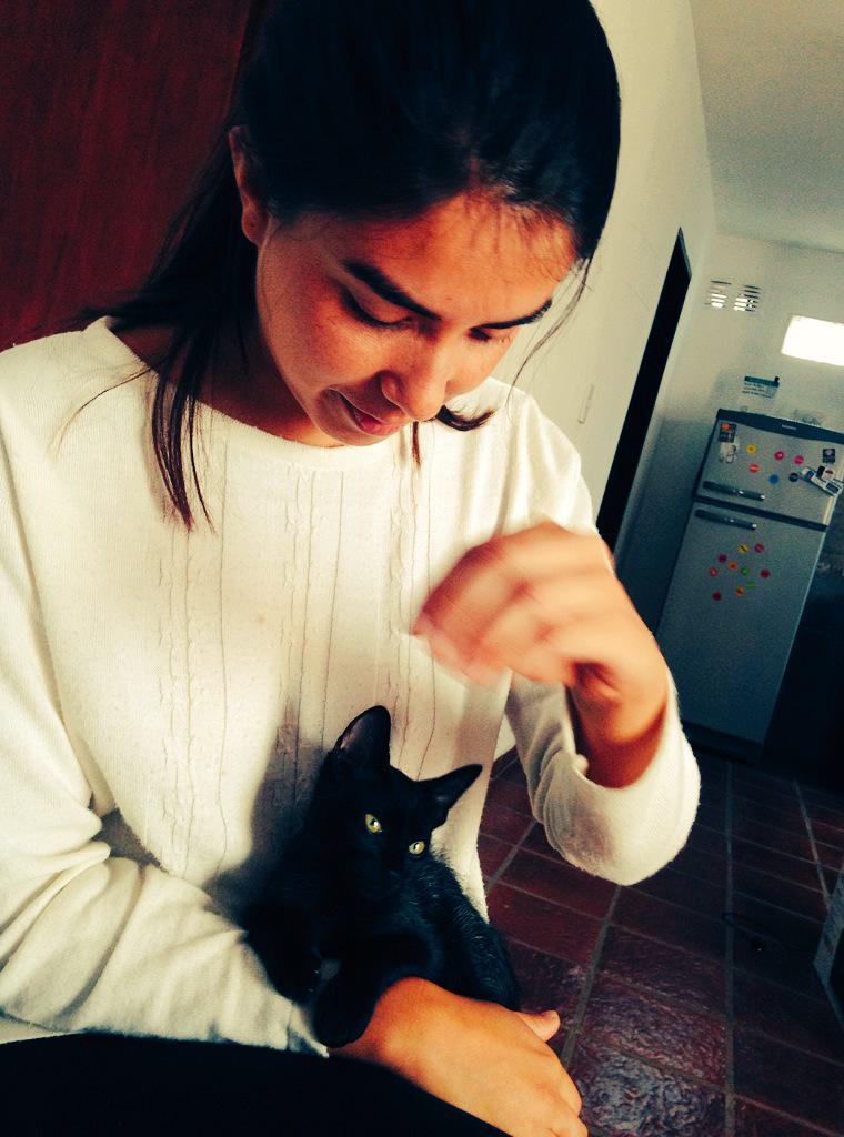 AstridSilgado's tweet photo. @valenmenco y #gato# mascota! Bienvenido a casa ! http://t.co/g2meZ4gDOc