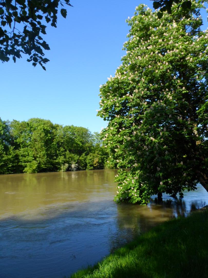 Auriane_C_'s tweet image. Promenade sur les bords de Marne à #NoisyleGrand Les merveilles de la Seine-Saint-Denis :)