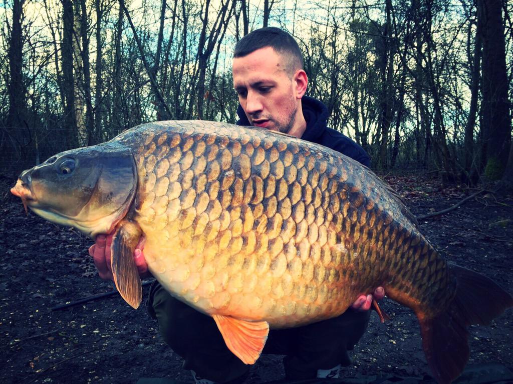 braderzfec's tweet photo. Bk to france in 7 weeks #carpfishing @1stilts007 @LanceLongman let fxxking have it @KordaOfficial  @TeamMainline http://t.co/gsxn0l5DBm