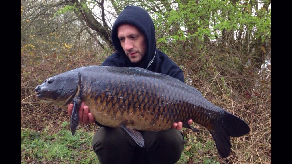 braderzfec's tweet photo. Moved 5 times nicked this last min!#carpfishing @KordaOfficial @TeamMainline http://t.co/kxqDpLF6G1