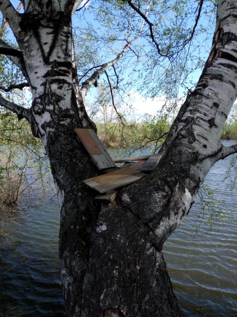 papa_karlo22's tweet image. А это несбывшаяся надежда #домнадереве а ведь когда-то там были сиденья и стол, где мы проводили все время) #дача